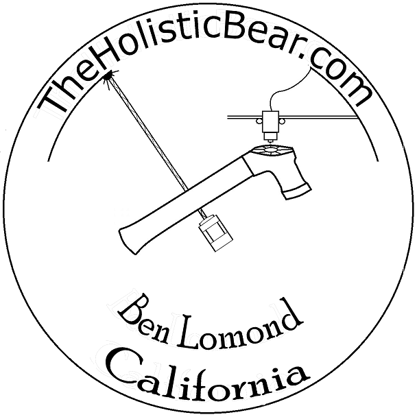 TheHolisticBear